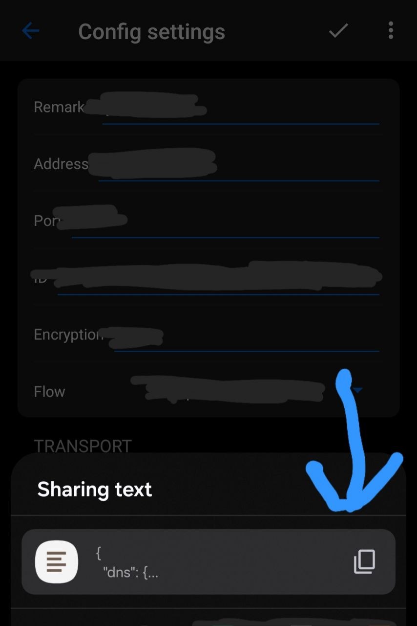Системное окно Android: стрелка указывает на кнопку копирования JSON